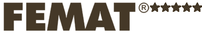 logo Femat